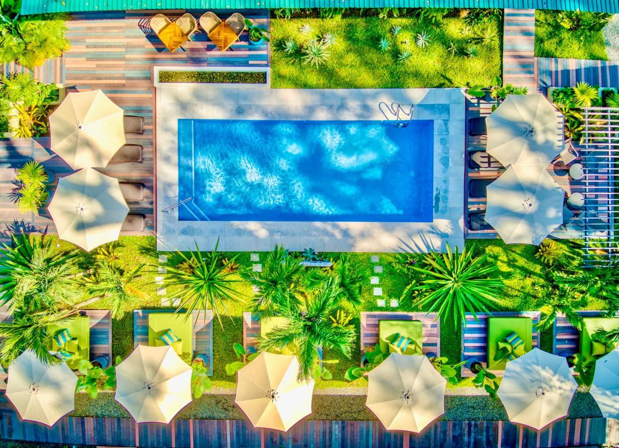 Exotico Beach Hotel Puerto Viejo de Talamanca Luaran gambar