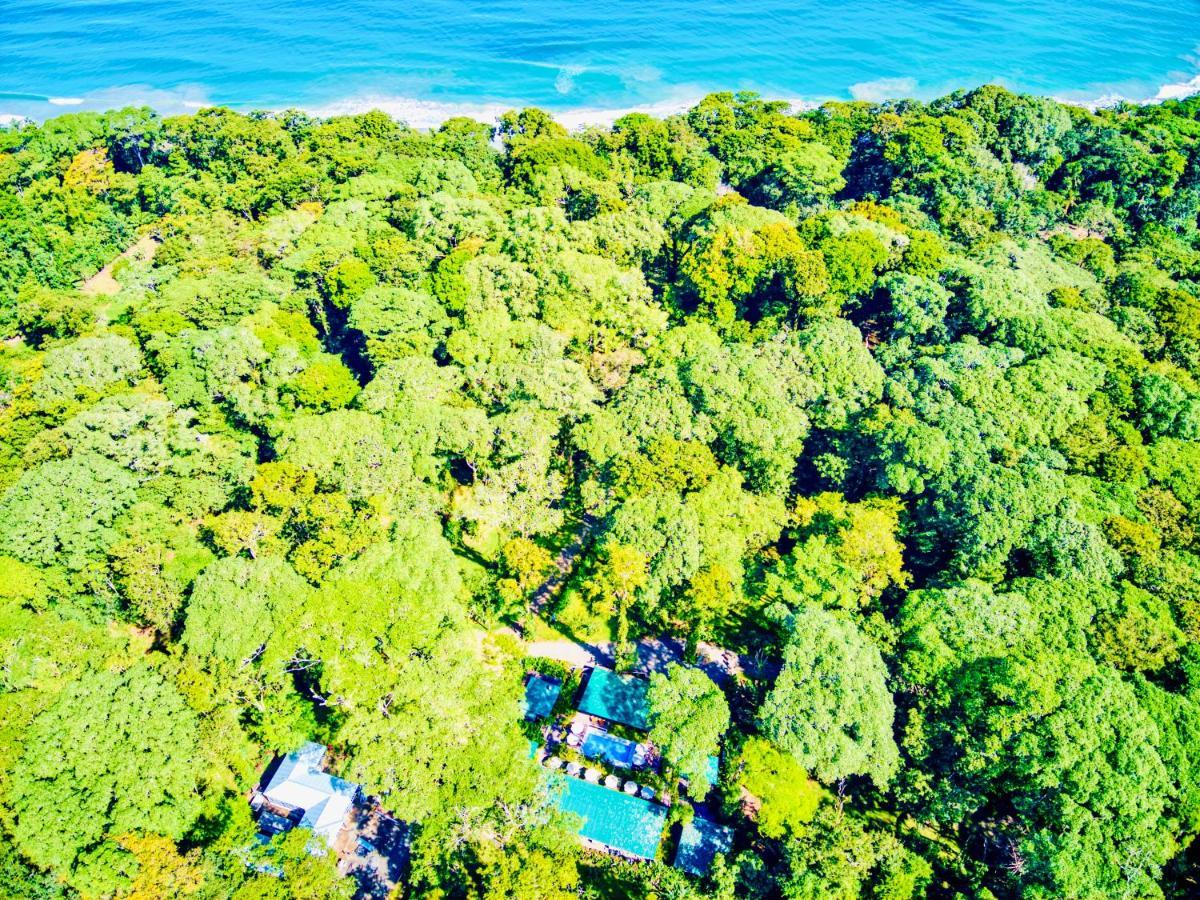 Exotico Beach Hotel Puerto Viejo de Talamanca Luaran gambar