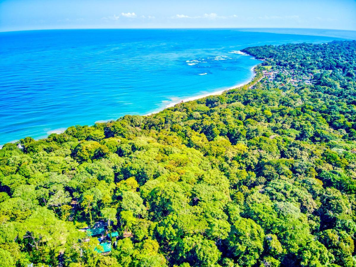 Exotico Beach Hotel Puerto Viejo de Talamanca Luaran gambar